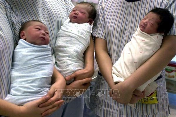 Hàn Quốc triển khai nhiều chính sách thúc đẩy tăng tỷ lệ sinh