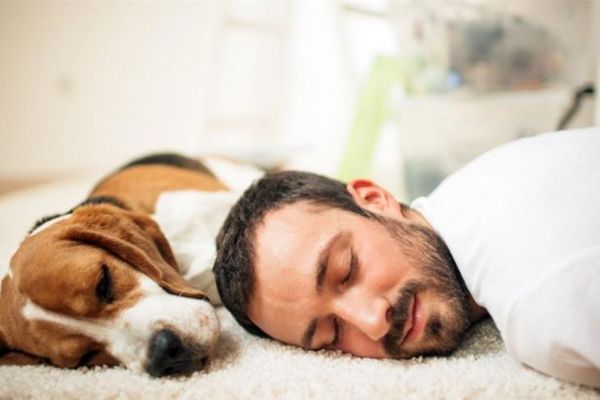 Ngủ trên sàn nhà tốt hay có hại cho sức khỏe?