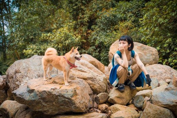 Tôi dẫn chó cưng trekking 7 cung đường núi khó nhất Việt Nam