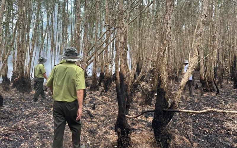Trắng đêm dập lửa cứu 40ha rừng tràm ở Cà Mau