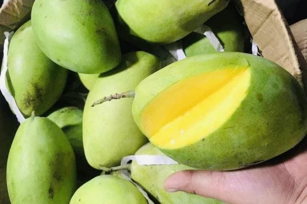 10 loại trái cây giúp bảo vệ sức khỏe trong mùa nắng nóng