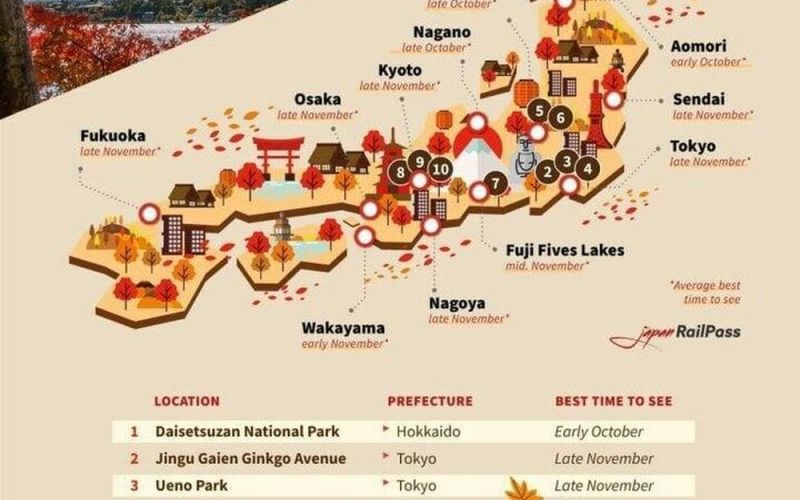 Bản đồ lá vàng mùa thu cho những người sẽ đi du lịch Nhật Bản