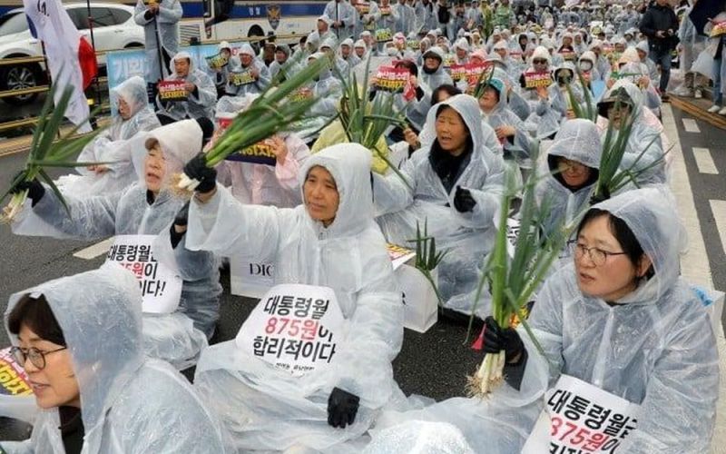 Dân Hàn Quốc mang hành lá xuống đường biểu tình vật giá leo thang