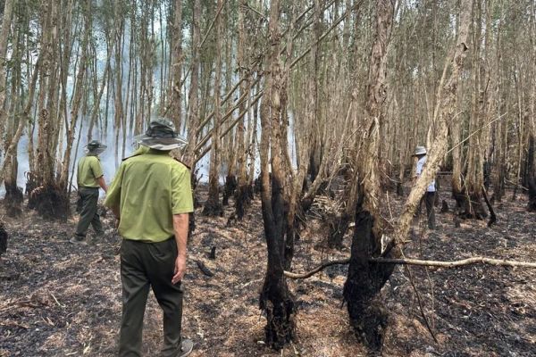 Trắng đêm dập lửa cứu 40ha rừng tràm ở Cà Mau